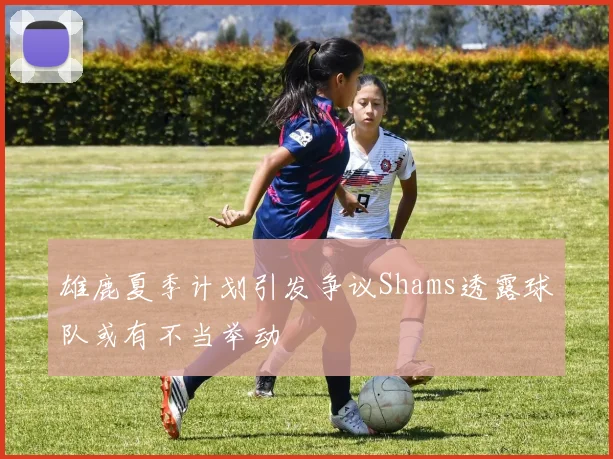 雄鹿夏季计划引发争议Shams透露球队或有不当举动