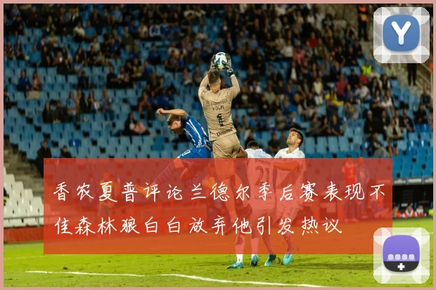 香农夏普评论兰德尔季后赛表现不佳森林狼白白放弃他引发热议